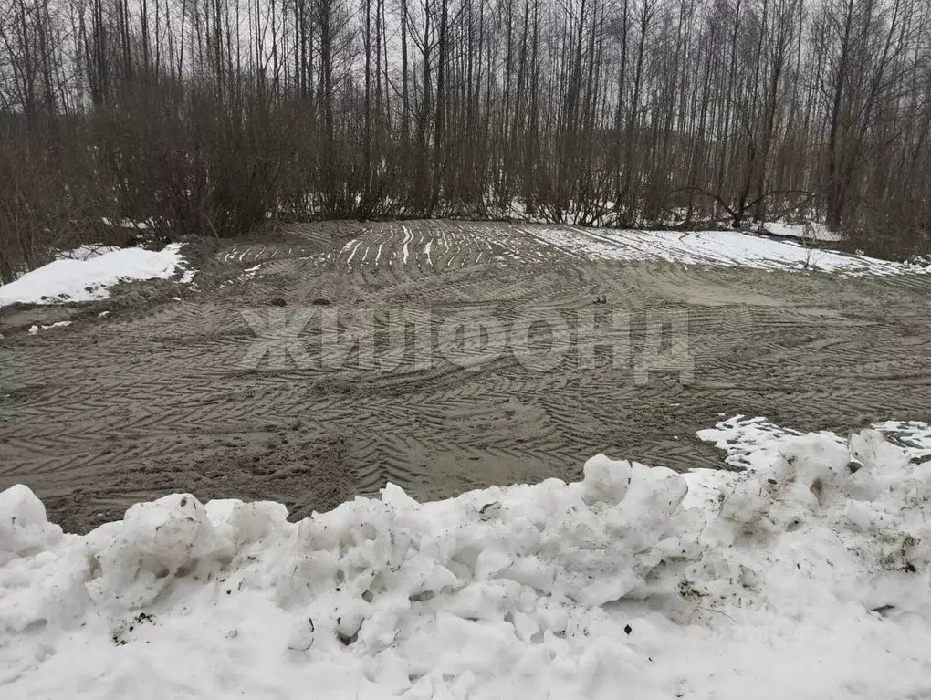 Участок в Брянская область, Брянск  (6.0 сот.) - Фото 0