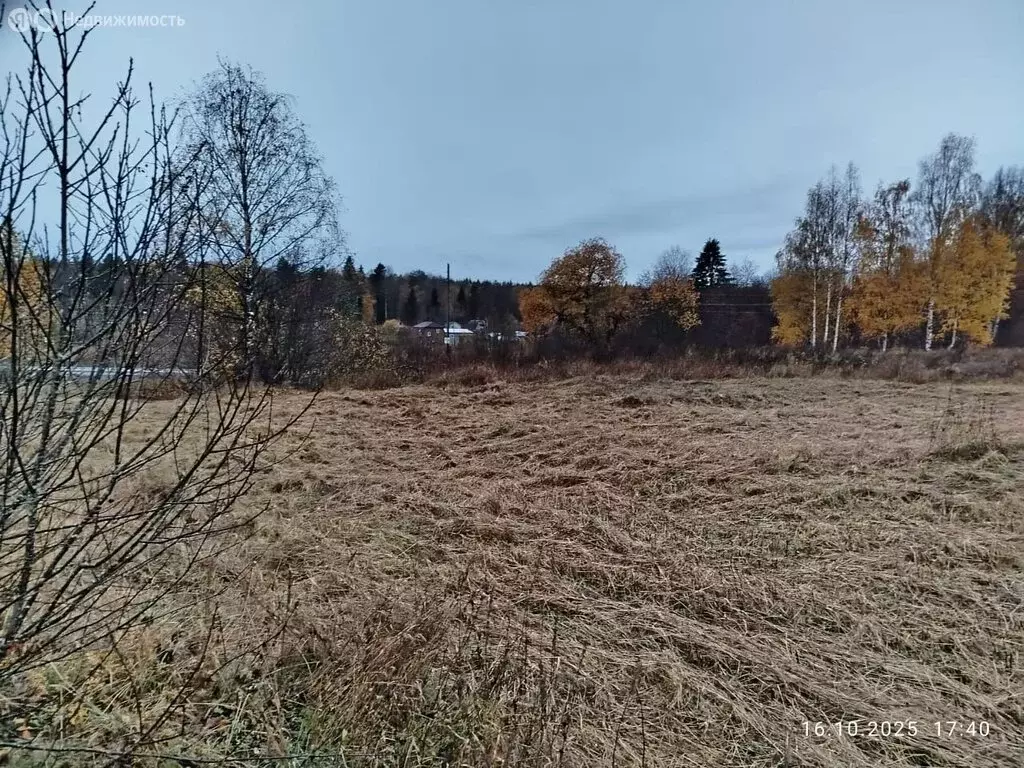 Участок в Шуйское сельское поселение, дачный массив Сургуба, Береговая ... - Фото 2