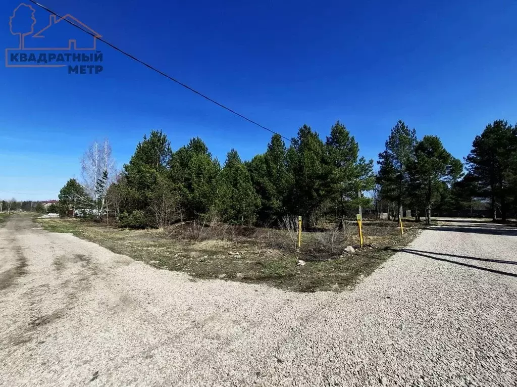 Участок в Ульяновская область, Мелекесский район, Старосахчинское ... - Фото 2