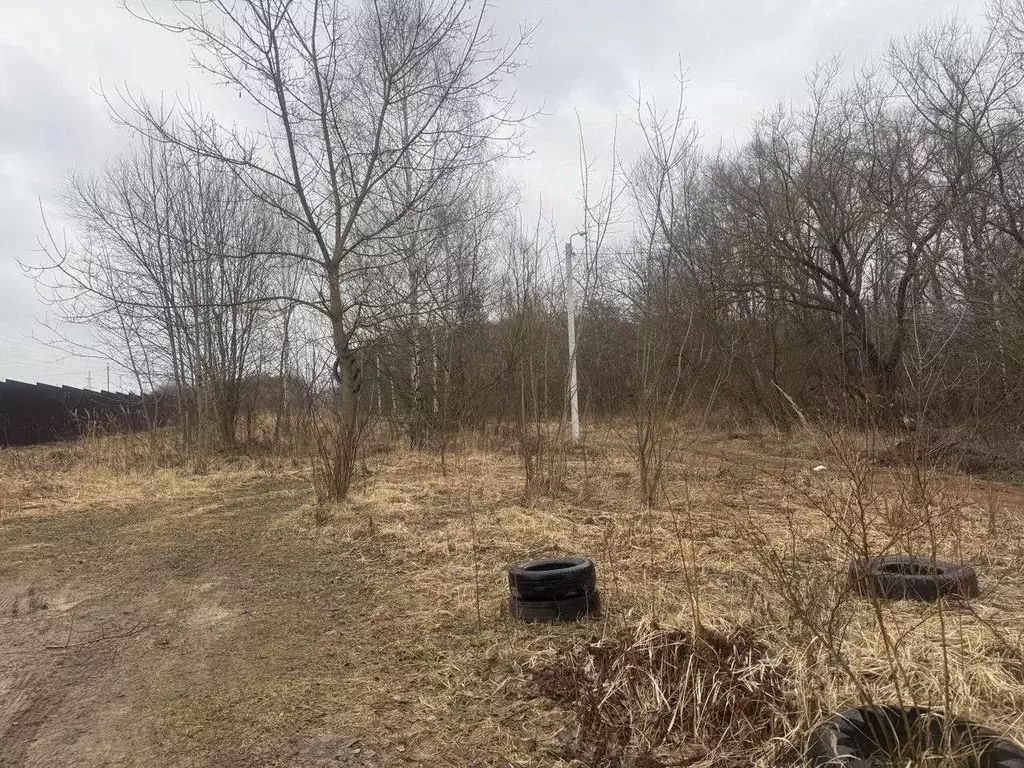 Участок в Московская область, Серпухов городской округ, д. Палихово ... - Фото 0