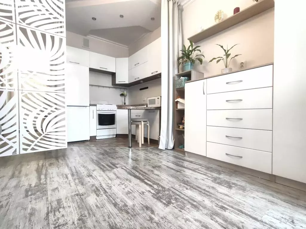 Квартира-студия: Засечное, Радужная улица, 10 (28 м) - Фото 2