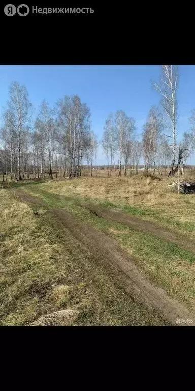Участок в Миасский городской округ, село Смородинка, Школьная улица ... - Фото 0