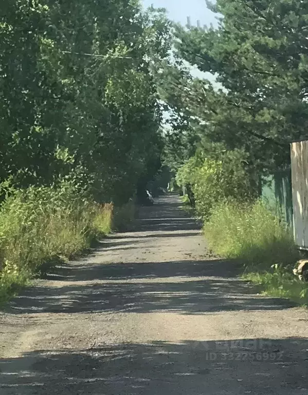 Участок в Ленинградская область, Всеволожский район, Заневское ... - Фото 2