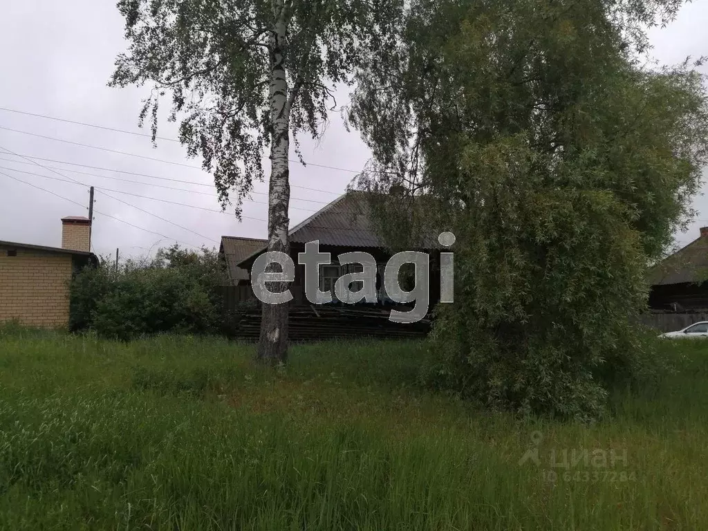 Дом в Нижегородская область, Выкса городской округ, с. Новодмитриевка ... - Фото 1