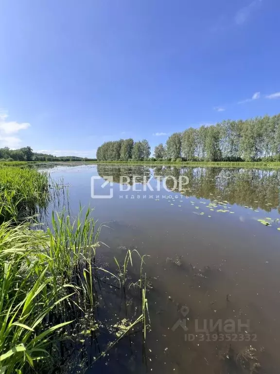 Дом в Костромская область, Кострома Рассвет СТ, 17Б (15 м) - Фото 2