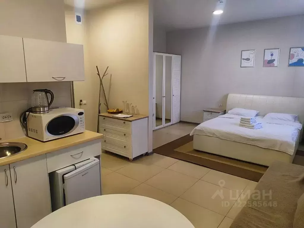 Студия Ставропольский край, Ессентуки Пятигорская ул., 104А (25.0 м) - Фото 0