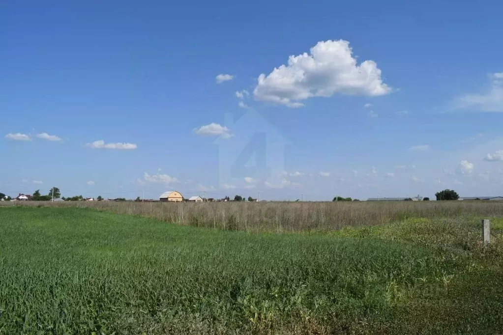 Участок в Воронежская область, Каширский район, Боевское с/пос, с. ... - Фото 1