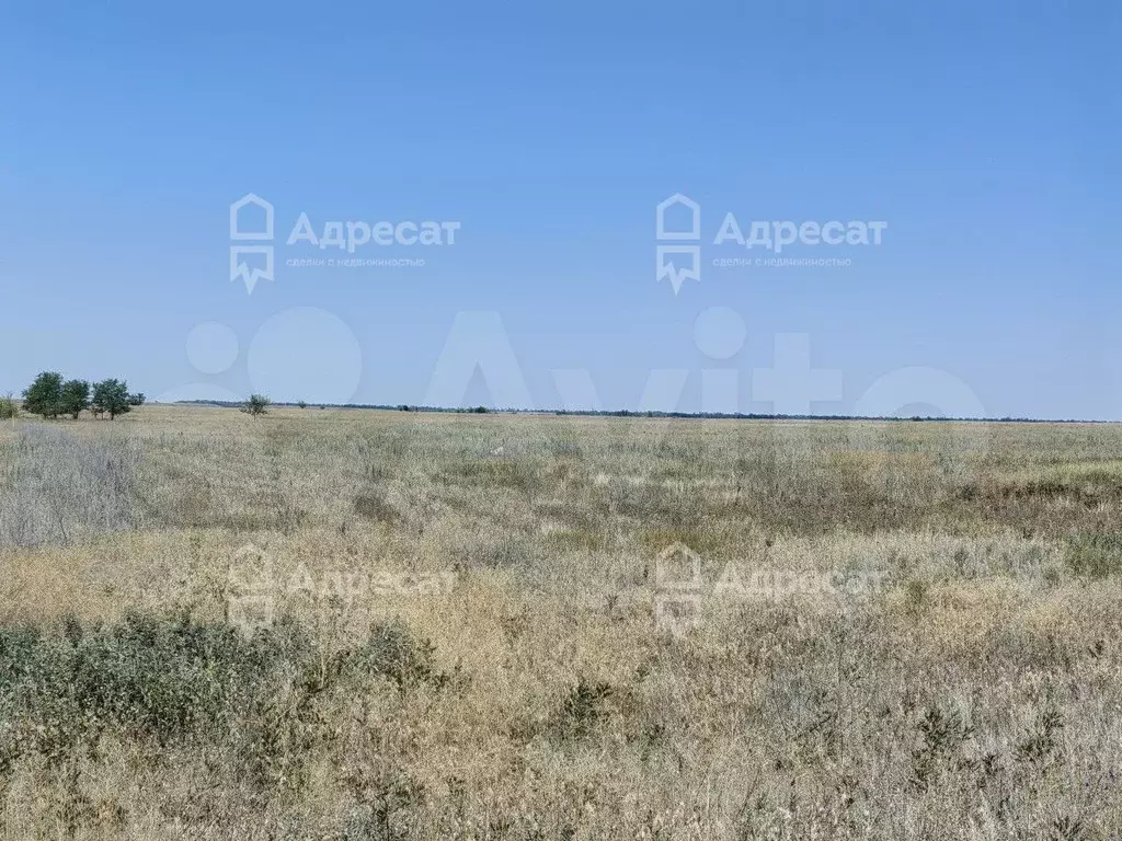 Участок 6,4 сот. (ИЖС) - Фото 0