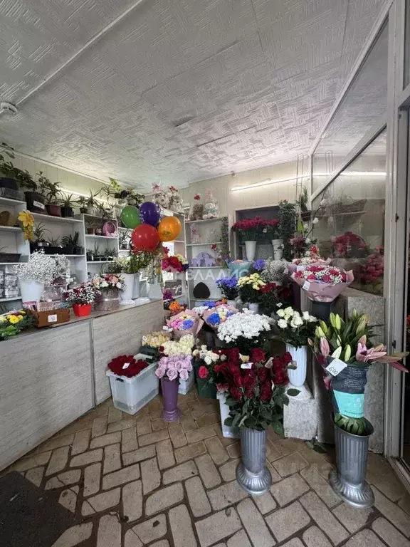 Торговая площадь в Белгородская область, Белгородский район, Дубовское ... - Фото 0