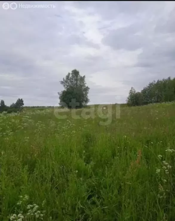 Участок в Ярославский муниципальный округ, деревня Медведево (21 м) - Фото 1