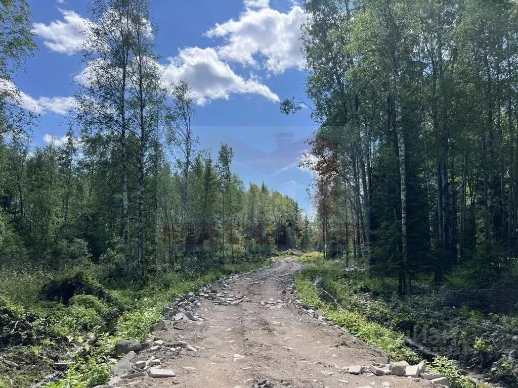 Участок в Ленинградская область, Выборгский район, пос. Поляны  (7.0 ... - Фото 1