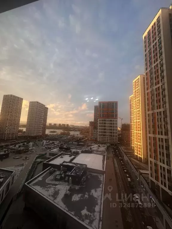 Студия Московская область, Красногорск ул. Липовой Рощи, 1к2 (27.0 м) - Фото 1