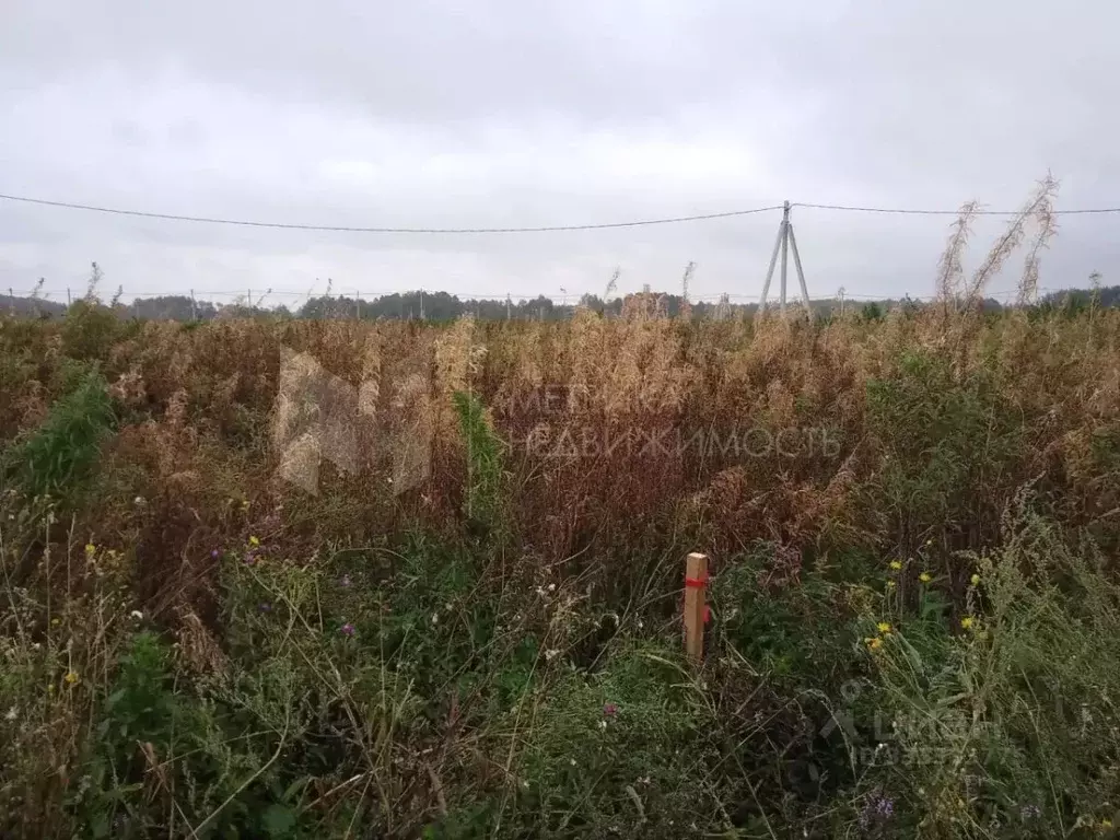 Участок в Тюменская область, Тюмень Тюменский-1 мкр,  (8.55 сот.) - Фото 1
