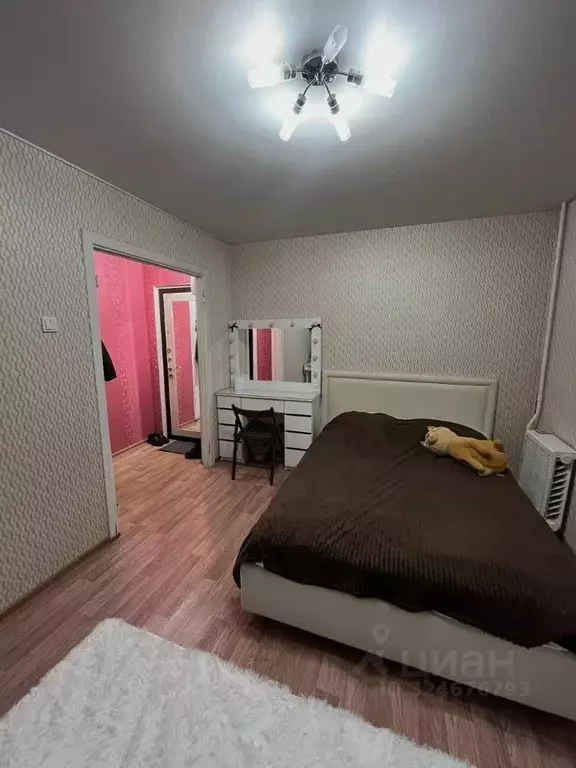 1-к кв. Самарская область, Самара Революционная ул., 149 (25.0 м) - Фото 2