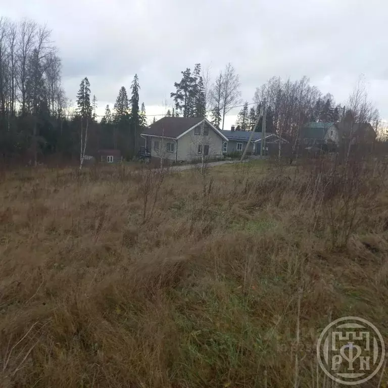 Участок в Ленинградская область, Приозерский район, Сосновское с/пос, ... - Фото 2