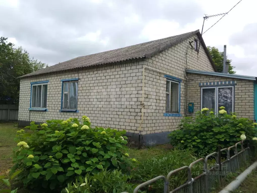 Дом в Белгородская область, Вейделевский район, с. Закутское ул. ... - Фото 1