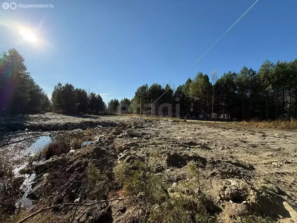 Участок в Бессоновский район, посёлок Подлесный, КП Лесное озеро ... - Фото 1