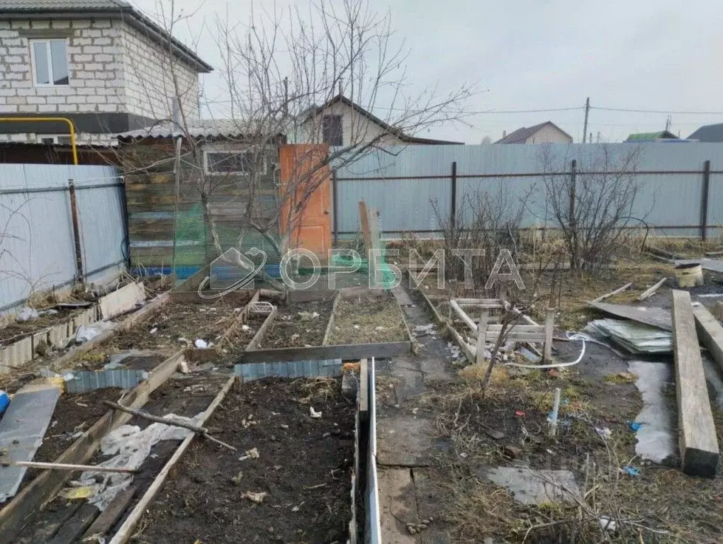 Участок в Тюменская область, Тюмень Юбилей садовое товарищество, ул. ... - Фото 1