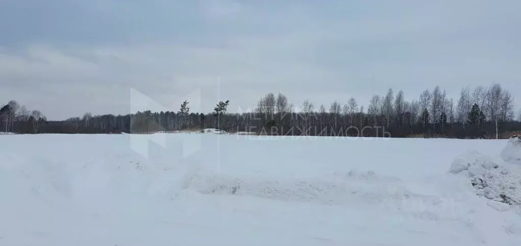 Участок в Тюменская область, Нижнетавдинский район, д. Московка, Чехов ... - Фото 0