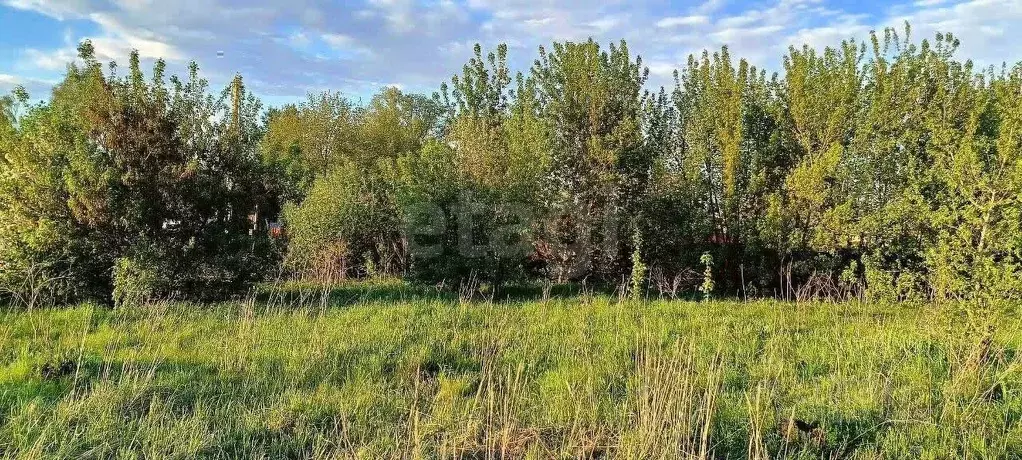 Участок в Удмуртия, Сарапул Центральный жилрайон, ул. Дубровская (7.2 ... - Фото 1