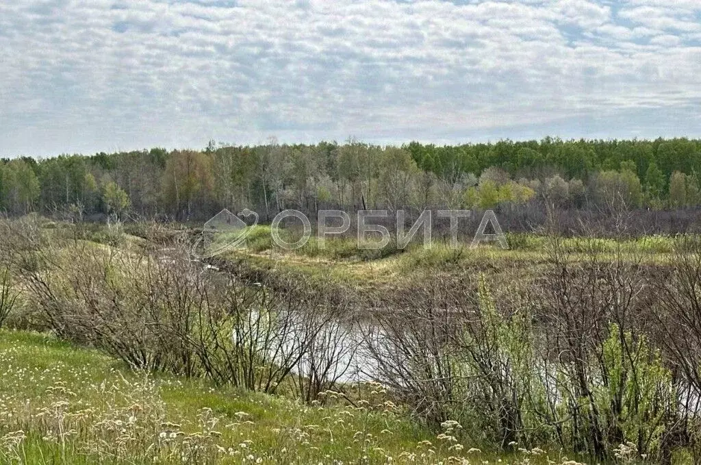 Участок в Тюменская область, Тюменский район, д. Елань  (8.58 сот.) - Фото 1