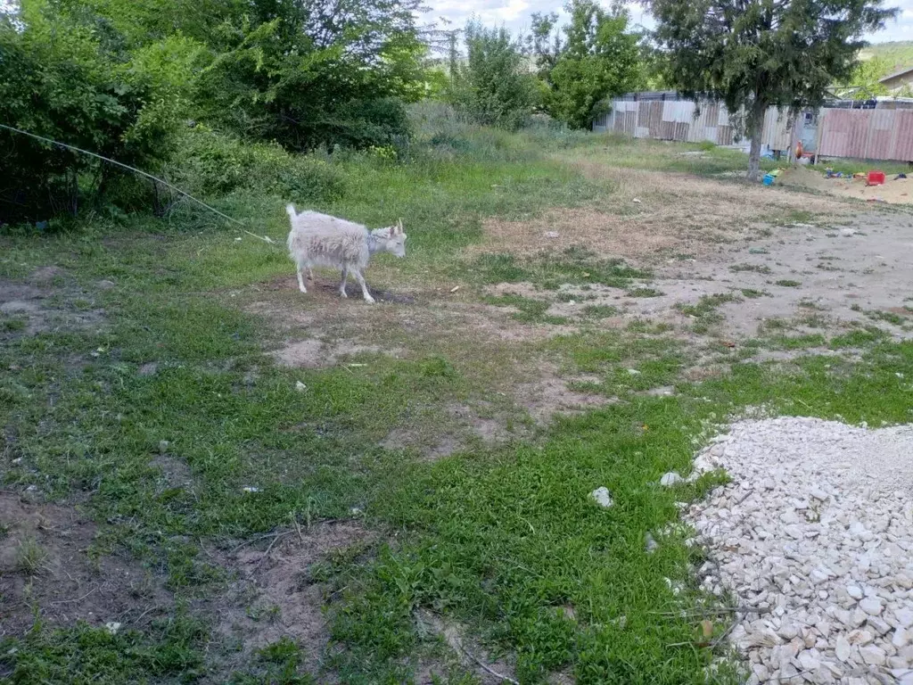 Участок в Волгоградская область, Волгоград ул. Неждановой (6.0 сот.) - Фото 2
