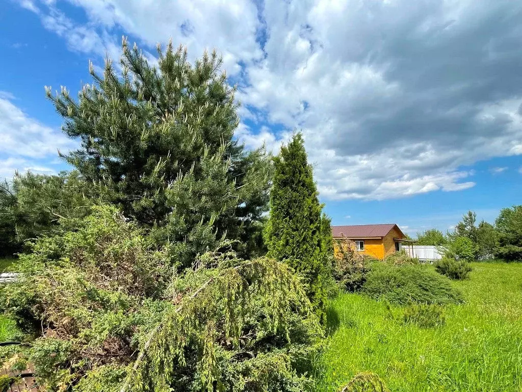 Продается дом в пгт Шаховская - Фото 2