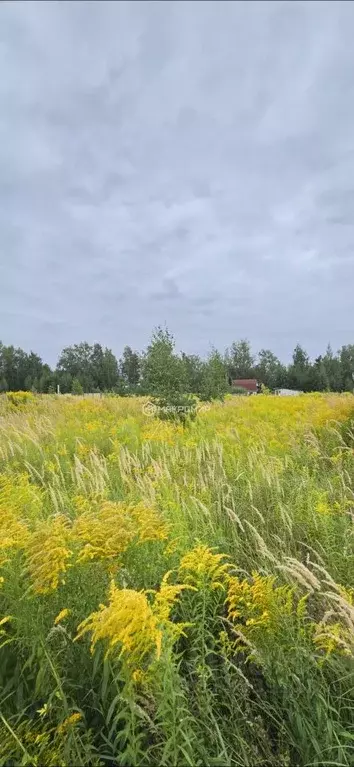 Участок в Брянская область, Брянский район, Мичуринское с/пос, д. ... - Фото 1