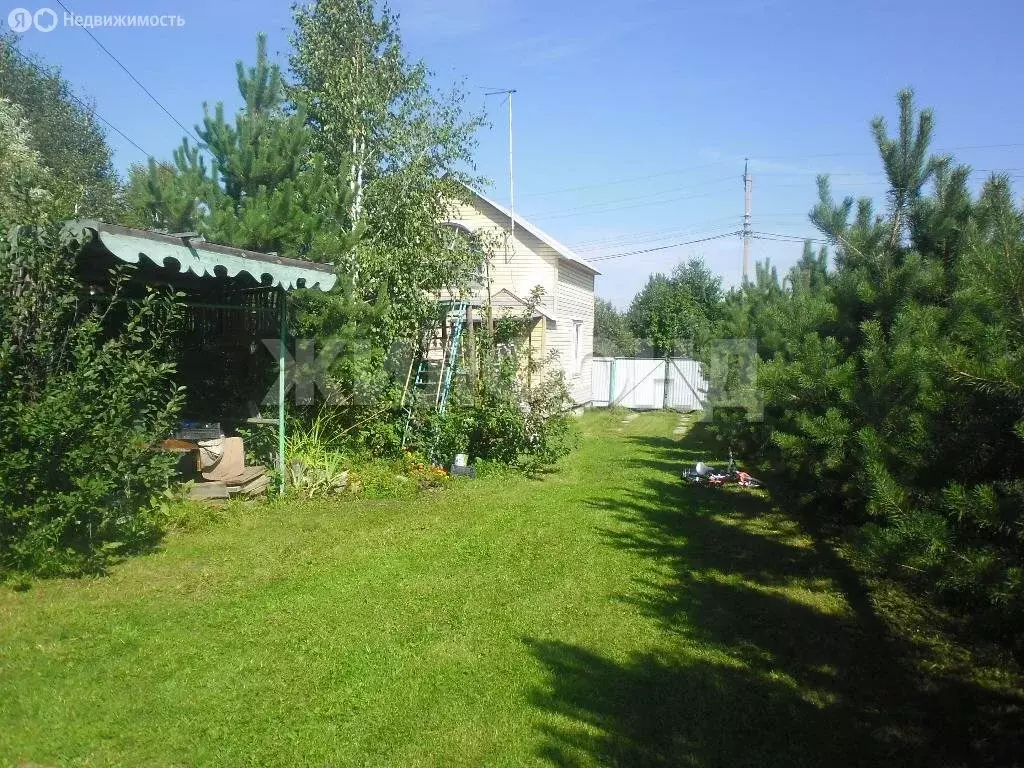 Дом в Искитимский район, Мичуринский сельсовет, садовое товарищество ... - Фото 1