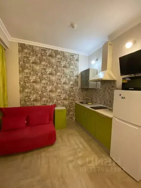 Студия Краснодарский край, Сириус пгт ул. Тюльпанов, 25 (20.0 м) - Фото 1
