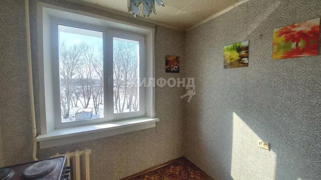 1-к кв. Новосибирская область, Новосибирский район, с. Криводановка, ... - Фото 1