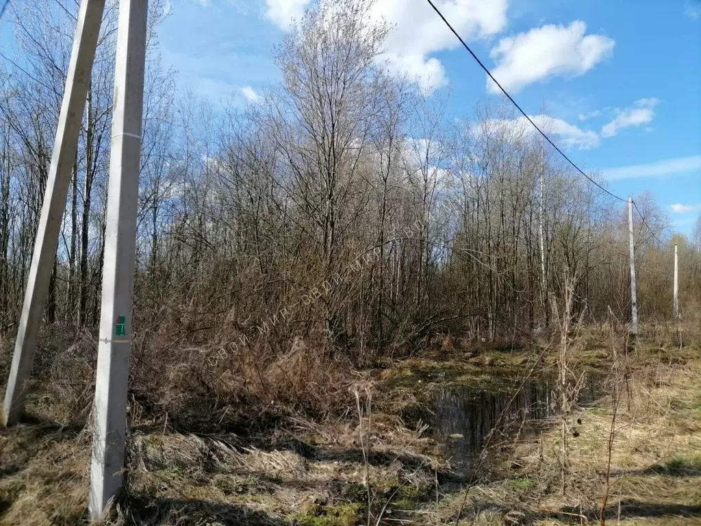 Участок в Санкт-Петербург пос. Понтонный, Колпинская ул. (12.0 сот.) - Фото 2