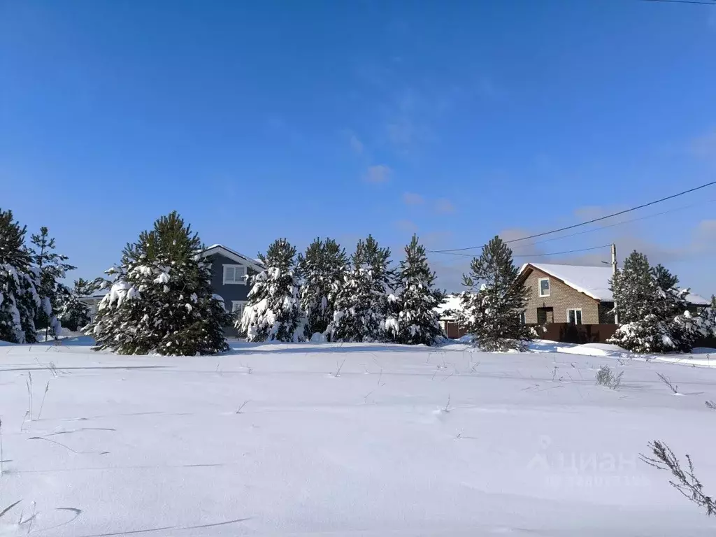Участок в Московская область, Раменский муниципальный округ, с. Речицы ... - Фото 2