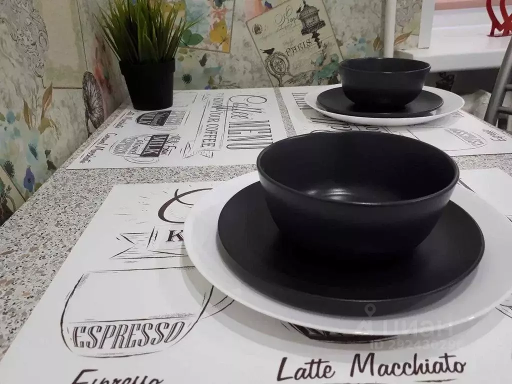 1-к кв. Нижегородская область, Нижний Новгород ул. Белинского, 55 ... - Фото 2