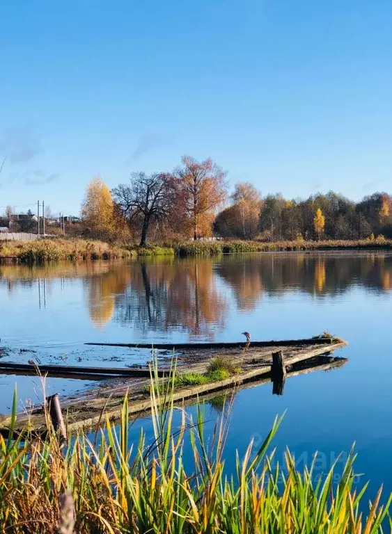 Участок в Костромская область, Кострома Текстильщик-1 садоводческое ... - Фото 0