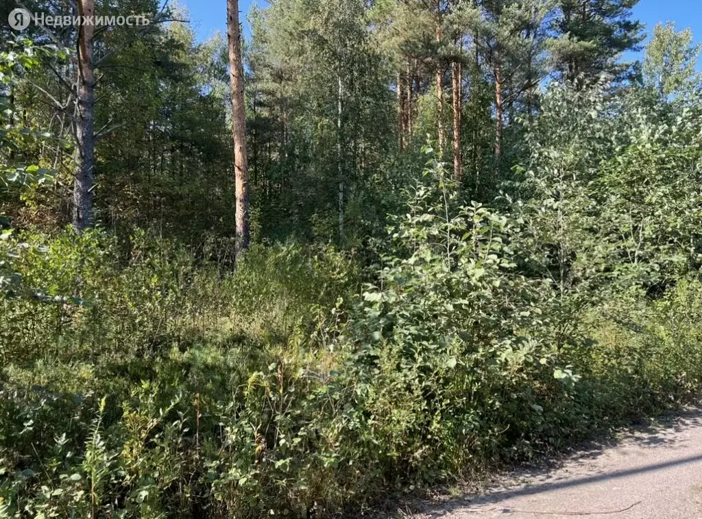 Участок в Шлиссельбург, коттеджный посёлок Зелёный квартал (21.97 м) - Фото 1