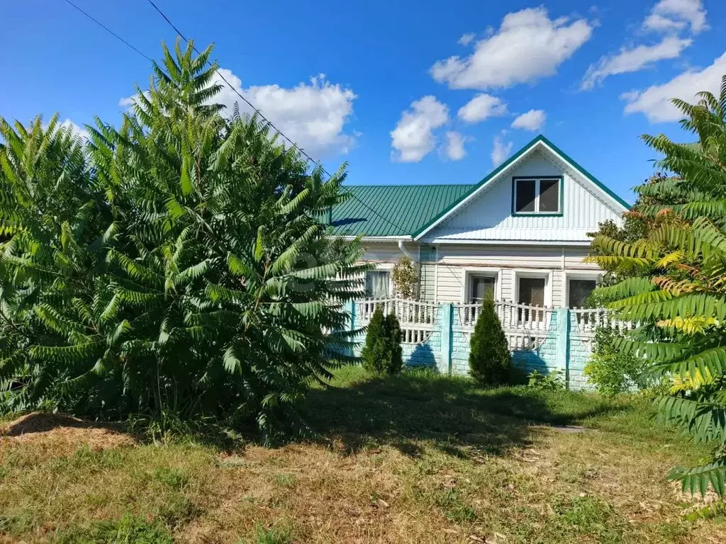Дом в Белгородская область, Борисовка рп ул. Новоборисовская, 18 (80 ... - Фото 2