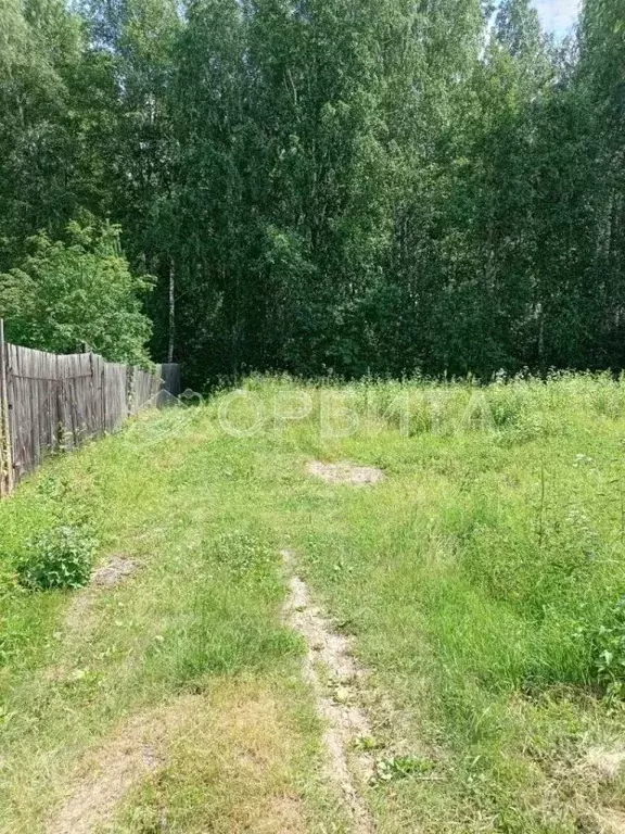 Участок в Тюменская область, Тюмень Березовая роща СНТ, ул. Липовая, ... - Фото 0