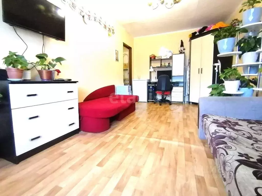 1-к кв. Хабаровский край, Николаевск-на-Амуре ул. Кантера, 14 (30.9 м) - Фото 0