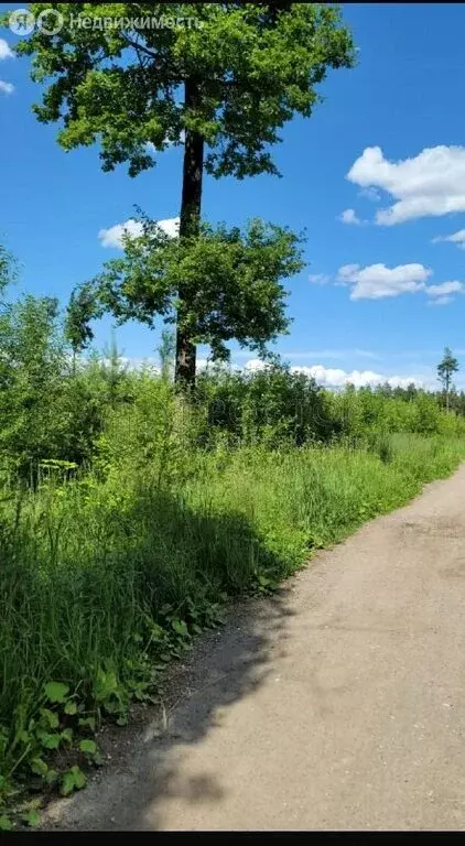 Участок в Московская область, городской округ Мытищи, село Троицкое ... - Фото 1