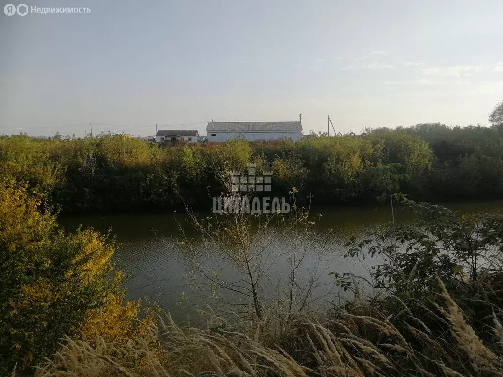 Участок в посёлок Кузиха, улица 8 Марта (59 м) - Фото 0
