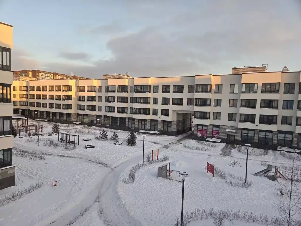 Студия Санкт-Петербург просп. Ветеранов, 210 (24.5 м) - Фото 1