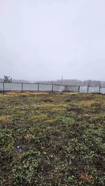 Участок в Рязанская область, Пронск рп  (6.0 сот.) - Фото 1