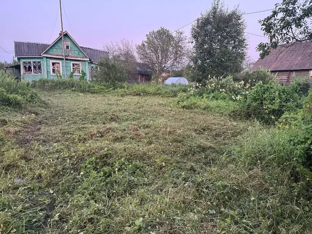 Участок в Ленинградская область, Лужский район, Мшинское с/пос, д. ... - Фото 0