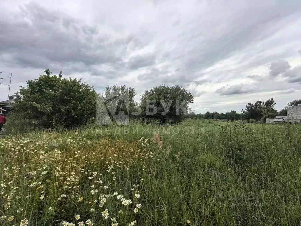 Участок в Воронежская область, Семилукский район, с. Губарево ... - Фото 0