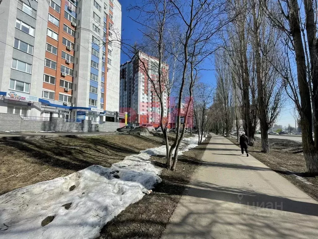 Офис в Пензенская область, Пенза ул. Бородина (137 м) - Фото 2