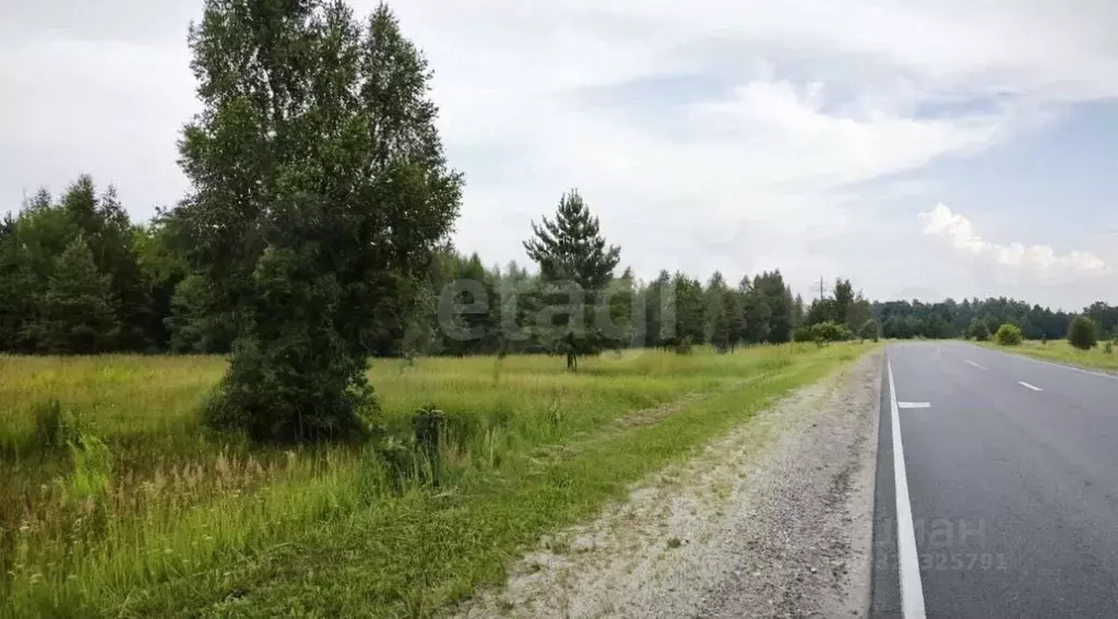 Участок в Нижегородская область, Чкаловск муниципальный округ, д. ... - Фото 1