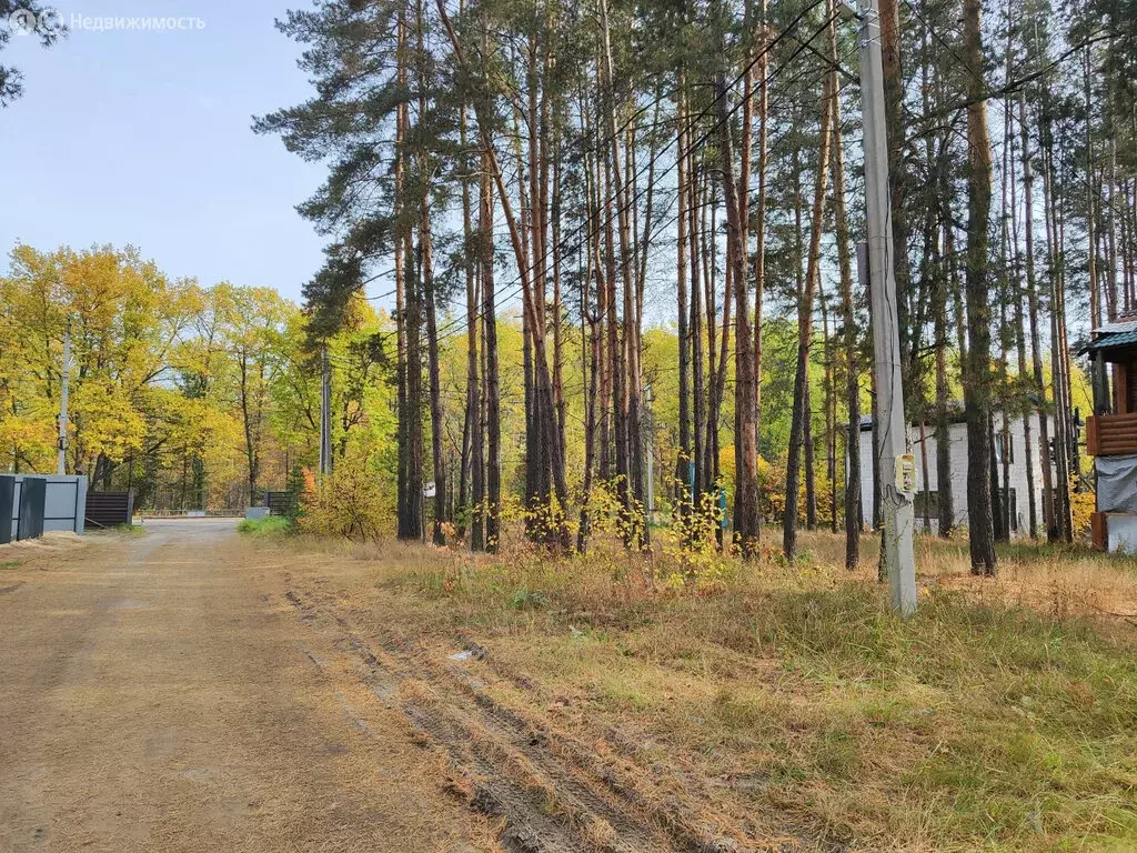 Участок в село Староживотинное, Заповедная улица, 32 (9.1 м) - Фото 2