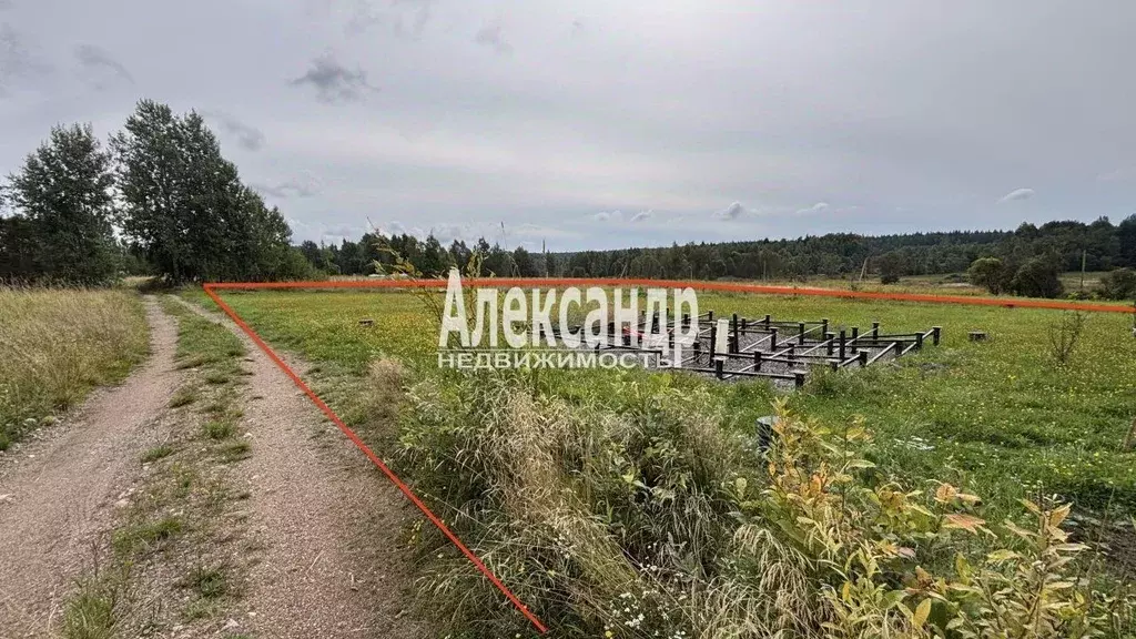 Участок в Ленинградская область, Выборгский район, Советское городское ... - Фото 1