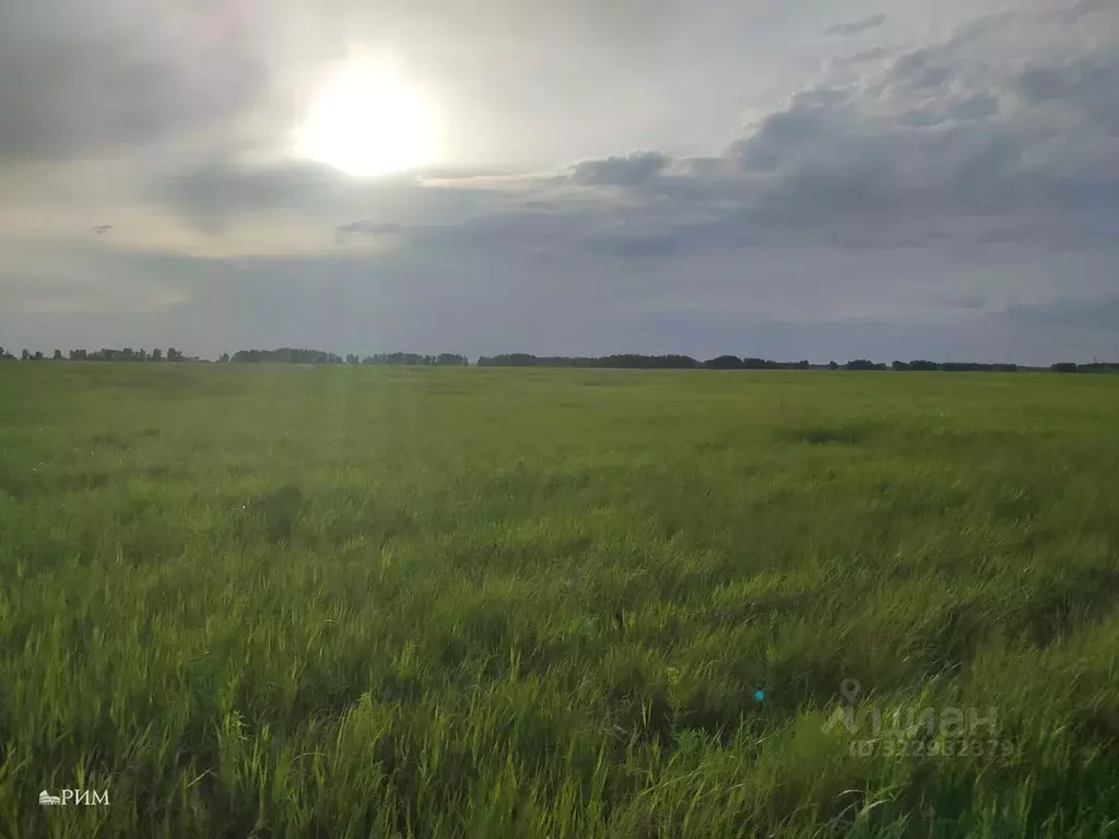 Участок в Липецкая область, Липецкий муниципальный округ, с. Подгорное ... - Фото 1